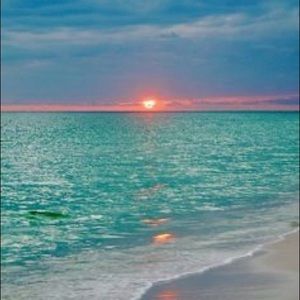 Meet your Posher, Marilyn